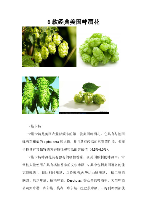 6款美国经典啤酒花