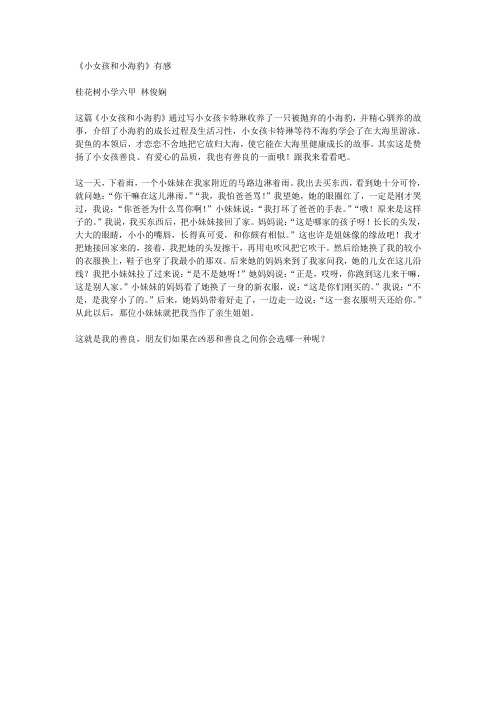 小女孩和小海豹