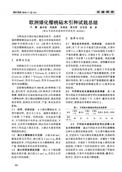欧洲矮化樱桃砧木引种试栽总结