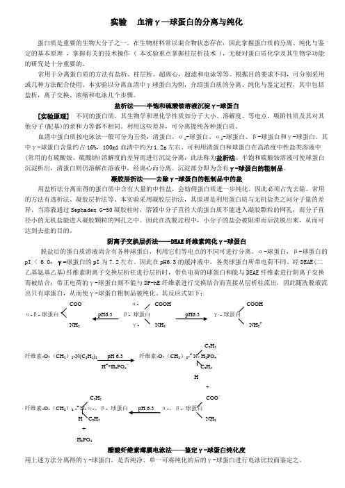 血清γ—球蛋白的分离与纯化讲义