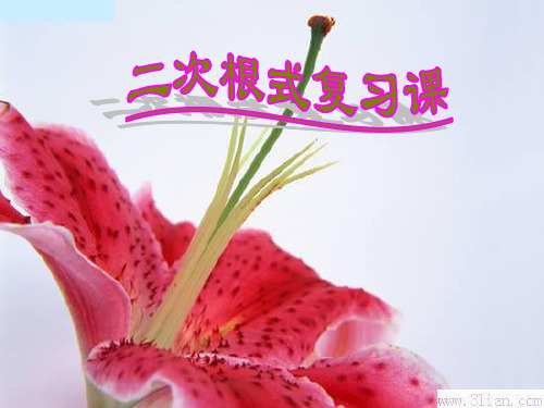 二次根式复习课PPT课件ppt