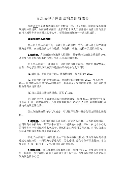 灵芝孢子结构