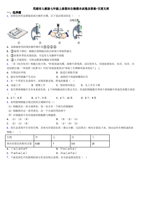 芜湖市人教版七年级上册期末生物期末试卷及答案-百度文库