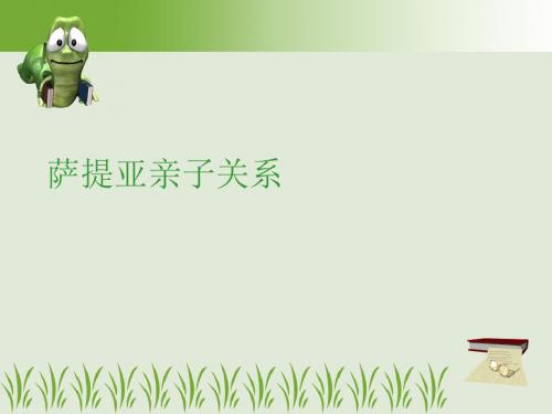萨提亚亲子关系PPT