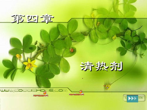 清热剂4