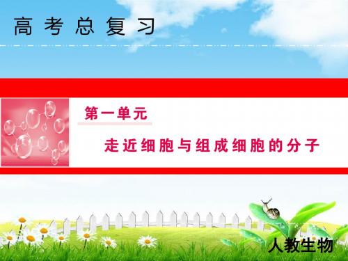2019版物理二轮复习课件：专题二功和能动量和能量3讲应用力学三大观点解决综合问题