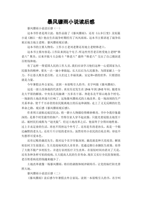 暴风骤雨小说读后感