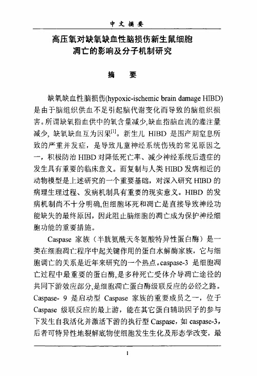 高压氧对缺氧缺血性脑损伤新生鼠细胞凋亡的影响和分子机制研究