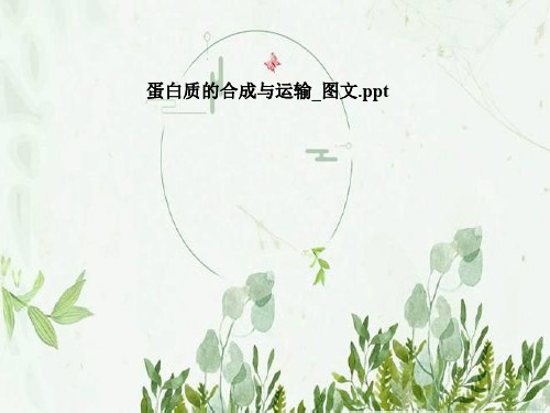 蛋白质的合成与运输_图文