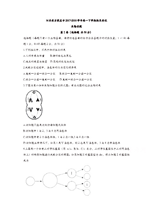 河北省石家庄市2017-2018学年高一下学期期末考试生物试题含答案