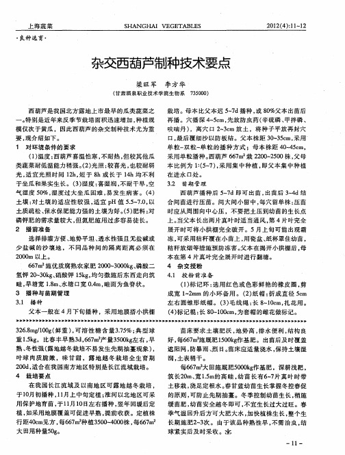 杂交西葫芦制种技术要点