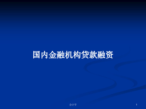 国内金融机构贷款融资PPT学习教案