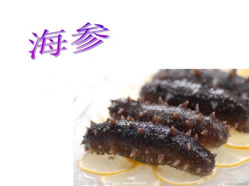 海参