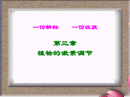 高中生物必修三第三章复习课件
