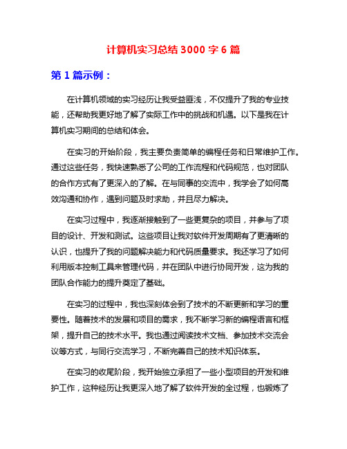 计算机实习总结3000字6篇