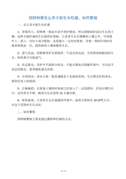 招财树要怎么养才能生长旺盛,如何繁