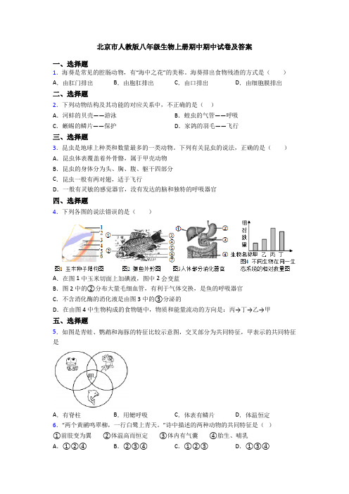 北京市人教版八年级生物上册期中期中试卷及答案