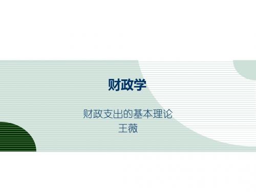 财政支出的基本理论
