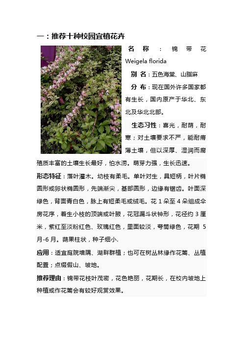 推荐校园宜种植物