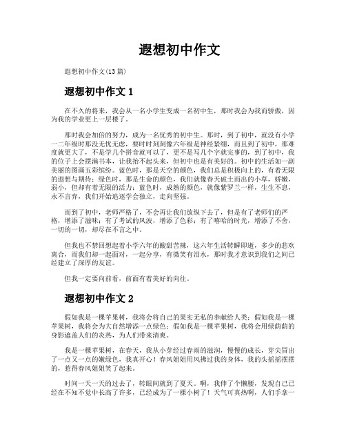 遐想初中作文