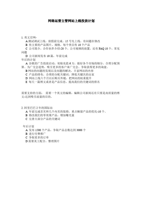 网络运营主管网站上线投放计划