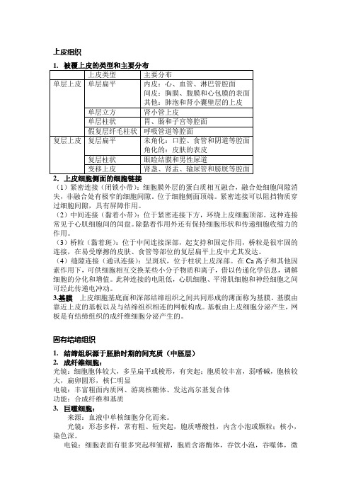 组织胚胎重点整理