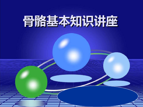 骨骼基本知识PPT课件