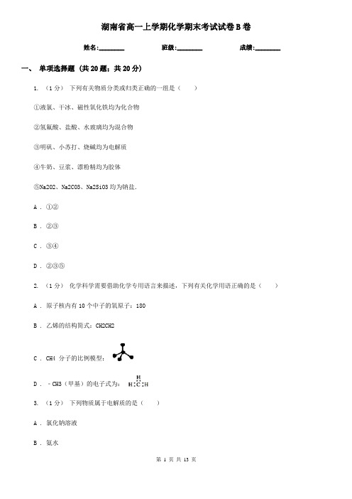 湖南省高一上学期化学期末考试试卷B卷