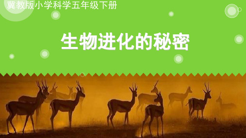 五年级下册科学ppt重点课件生物进化的秘密冀教版