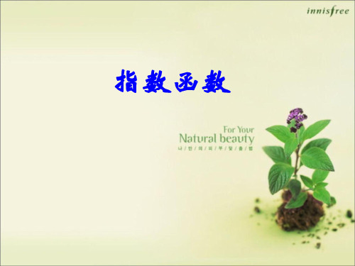 《指数函数》公开课课件