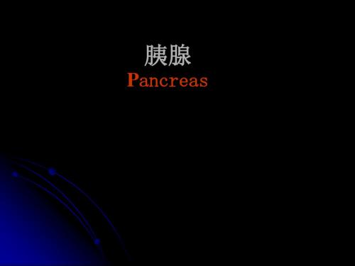 胰腺胰腺解剖及功能