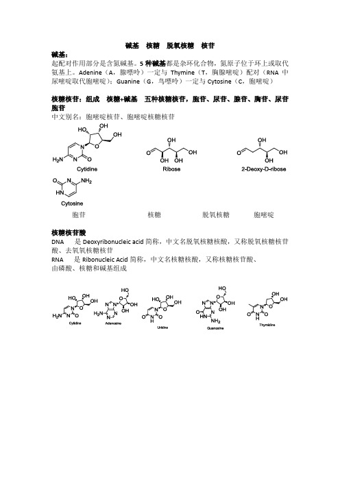 胞苷 胞嘧啶 核糖 核苷区别