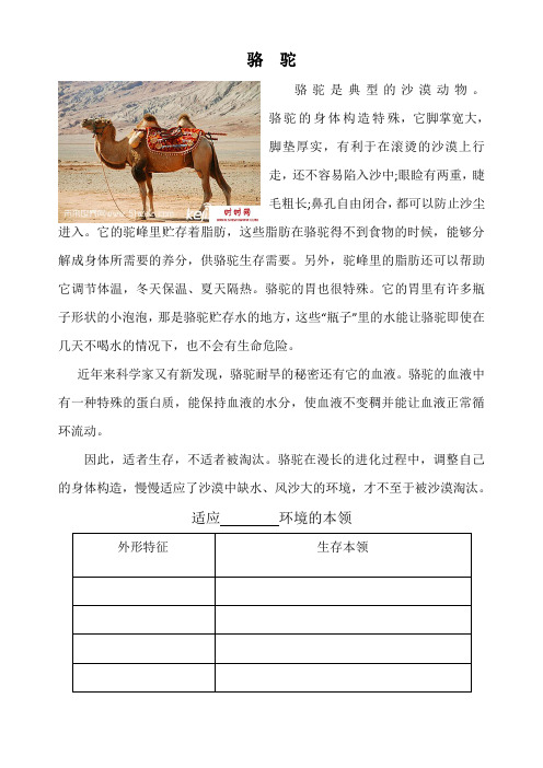 骆驼适应沙漠的本领小资料