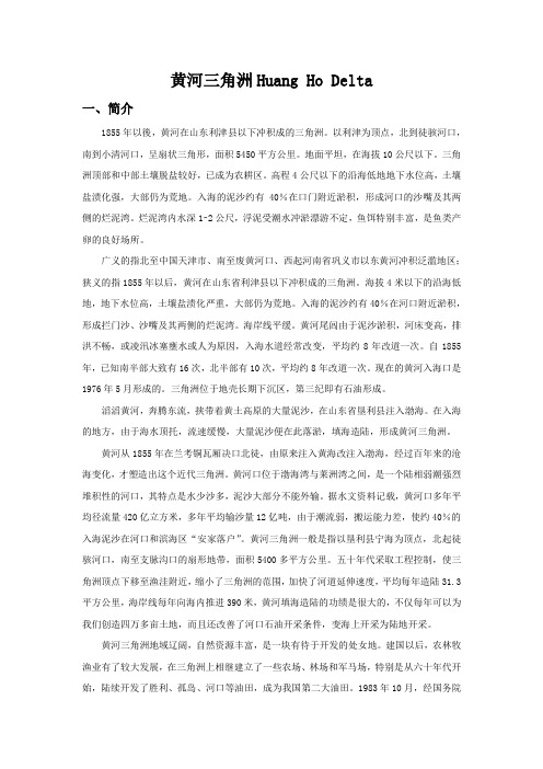 黄河三角洲