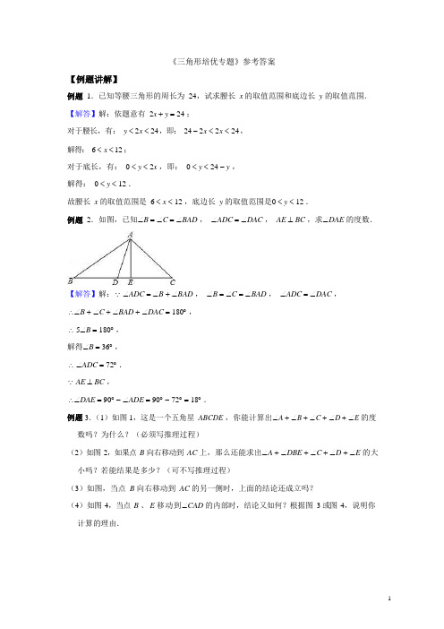 三角形培优专题 - 参考答案