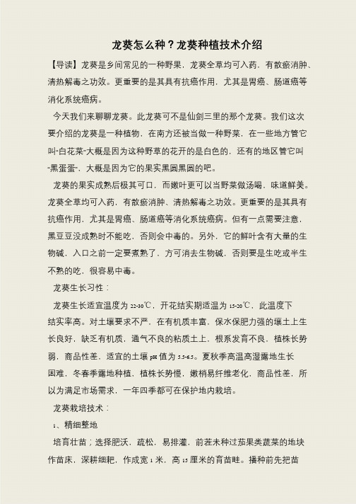 龙葵怎么种？龙葵种植技术介绍