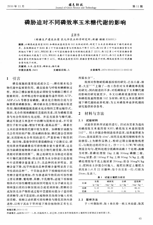 磷胁迫对不同磷效率玉米糖代谢的影响