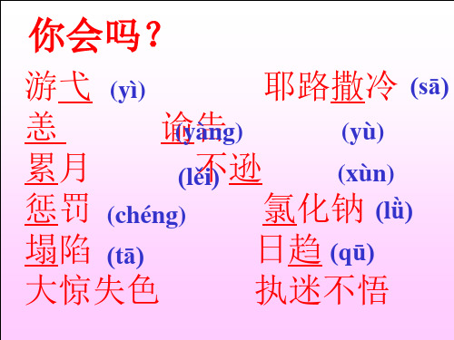 《死海不死》ppt课件