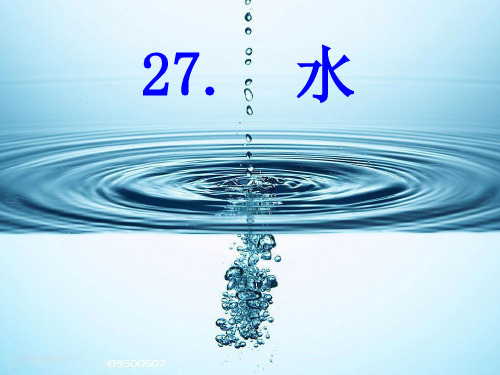 苏教版五年级下册语文27《水》
