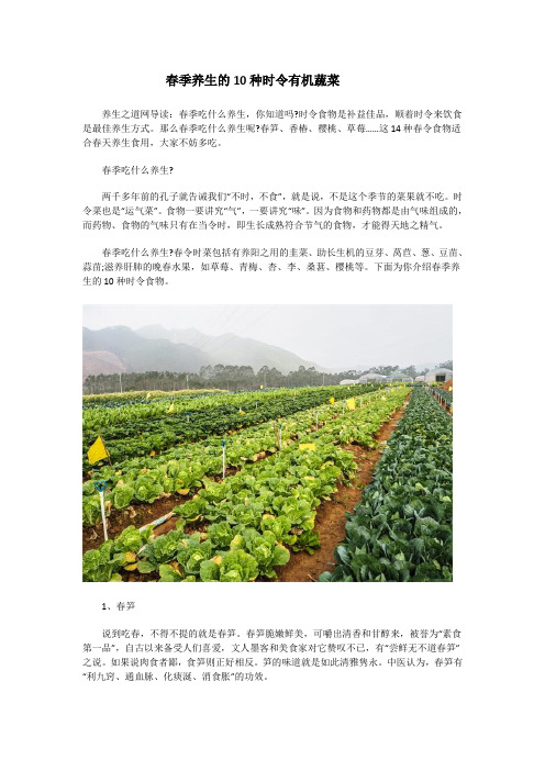 春季养生的10种时令有机蔬菜