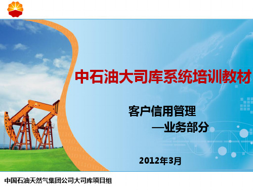 06_02 大司库系统培训教材_风险管理-客户信用风险管理