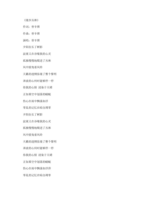 曾辛博歌词全集