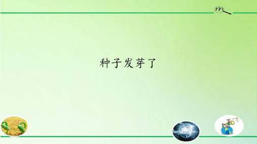 小学科学苏教版三年级下册全册课件