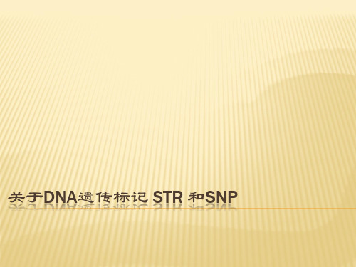 关于遗传标记-str-和snp