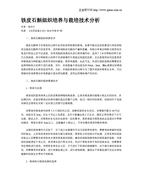 铁皮石斛组织培养与栽培技术分析