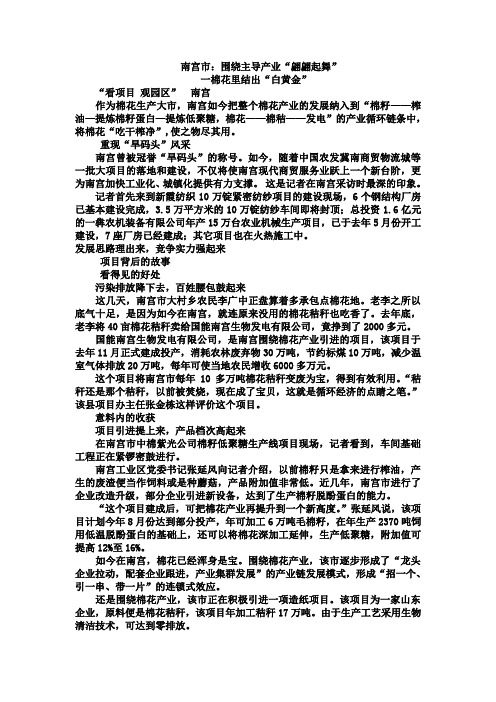 南宫棉花