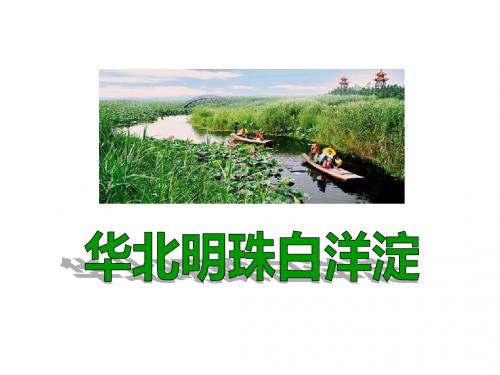 春冀教版语文小学二年级下学期(第4册)《华北明珠白洋淀》ppt课件 (2)