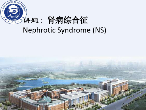 内科学教学课件：肾病综合征