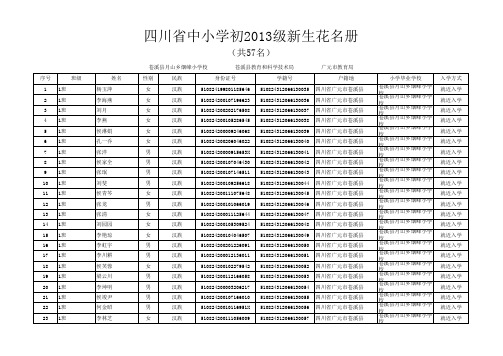 四川省中小学新生花名册17