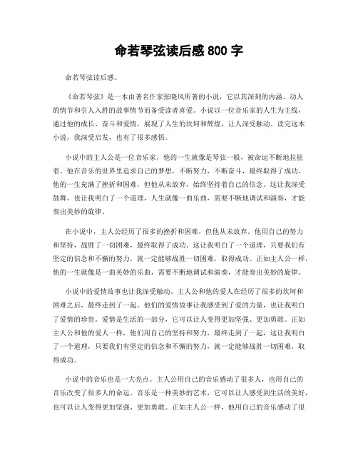 命若琴弦读后感800字